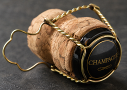 Initiation à  la dégustation de champagne